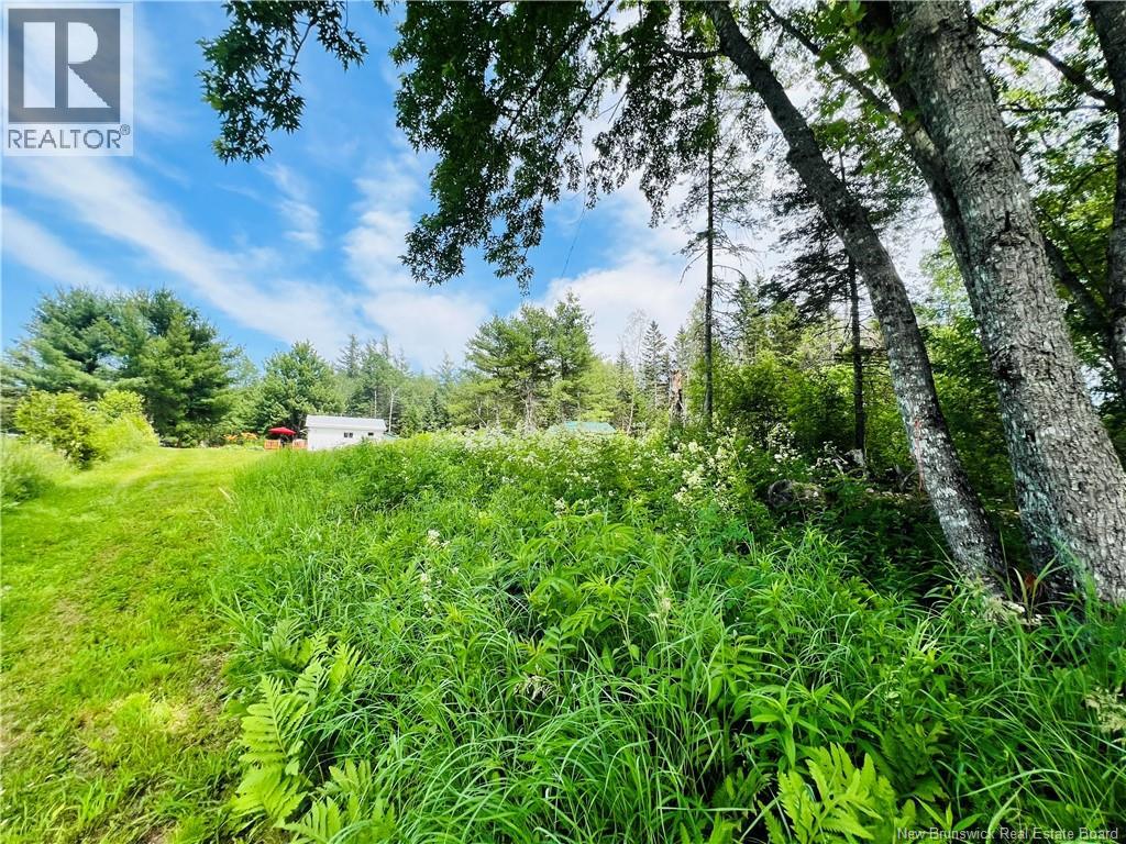 2147 Tweedside Road - 36