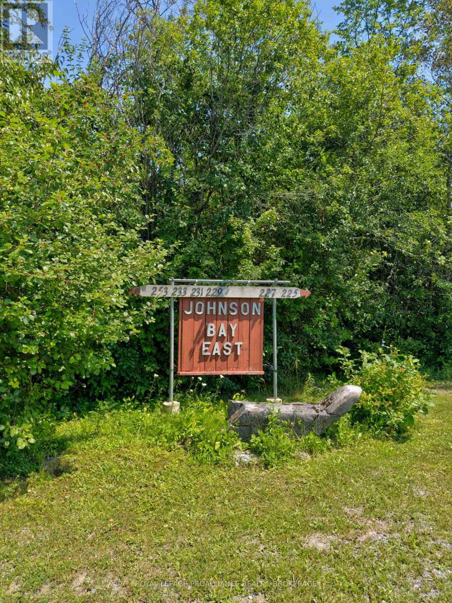 229 JOHNSON BAY LANE - 3