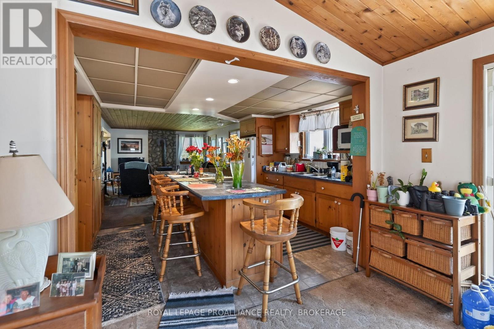 229 JOHNSON BAY LANE - 6
