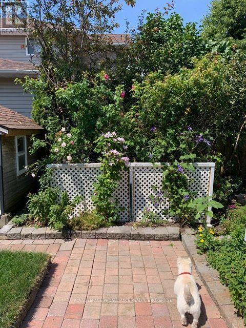 1031 RAINBOW CRESCENT - 34