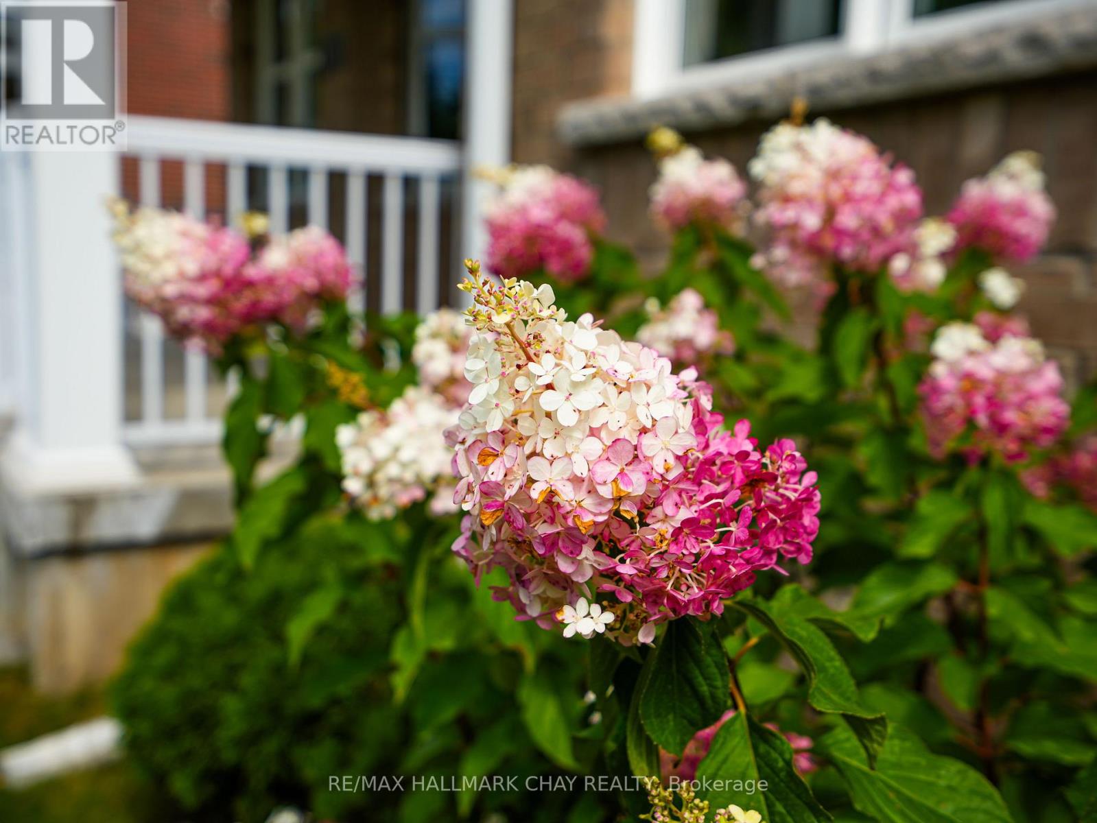 213 MARY STREET - 8