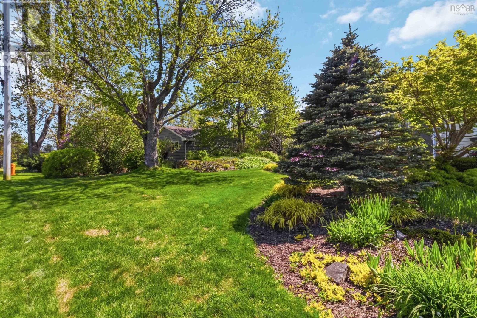 40 Wedgewood Avenue - 45