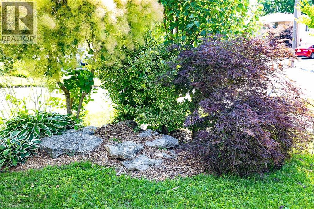 10 LATZER Crescent - 11