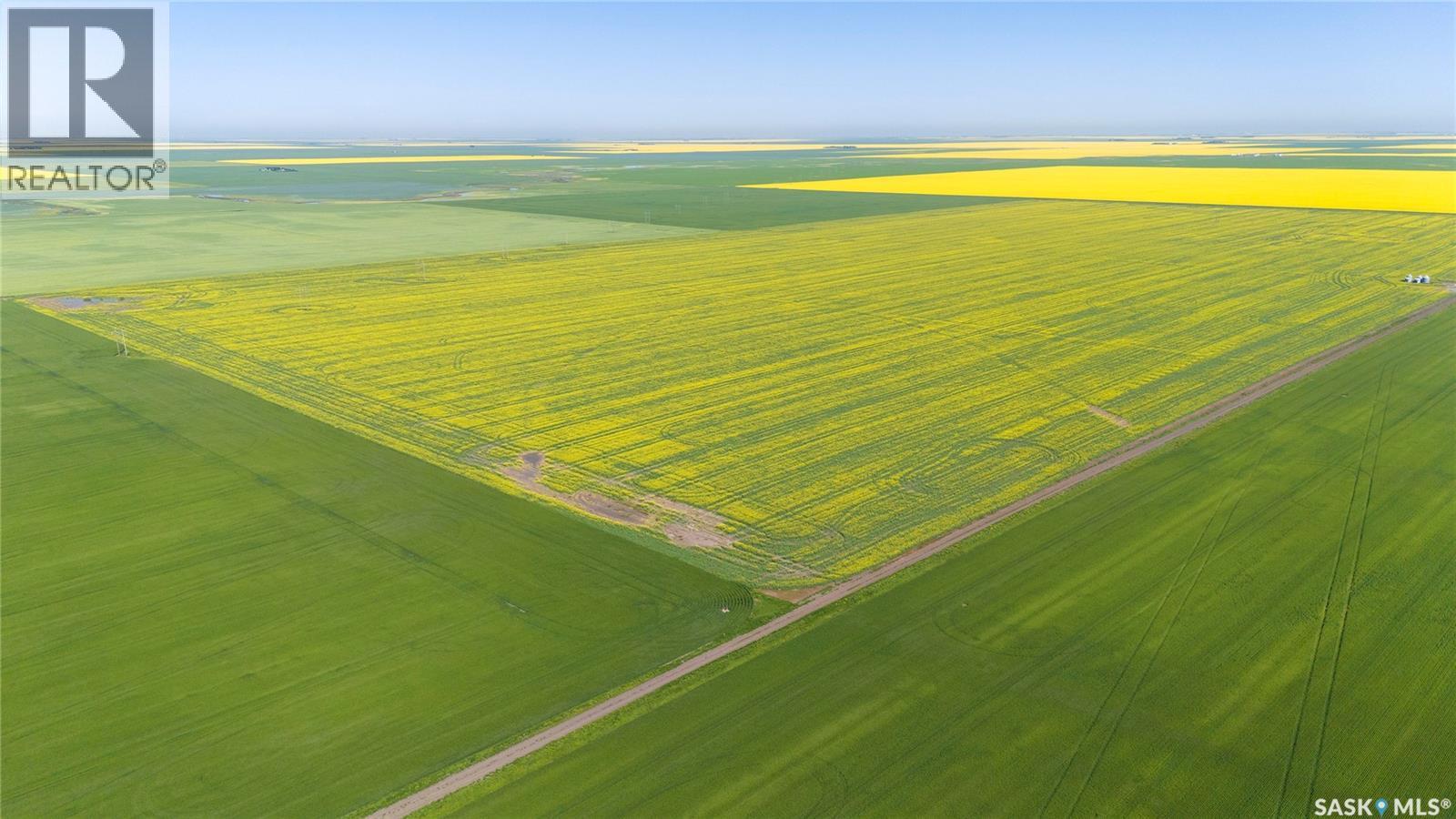 8 Quarters Premium Grainland Near Lewvan (Reimer) — photo 10