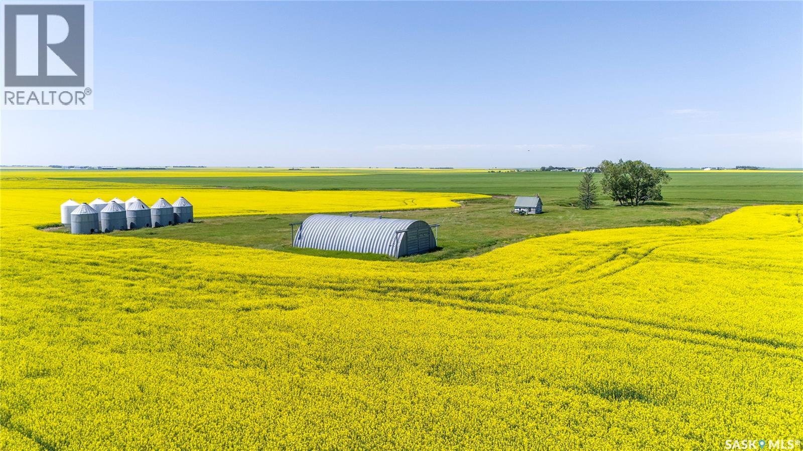 8 Quarters Premium Grainland Near Lewvan (Reimer) — photo 12