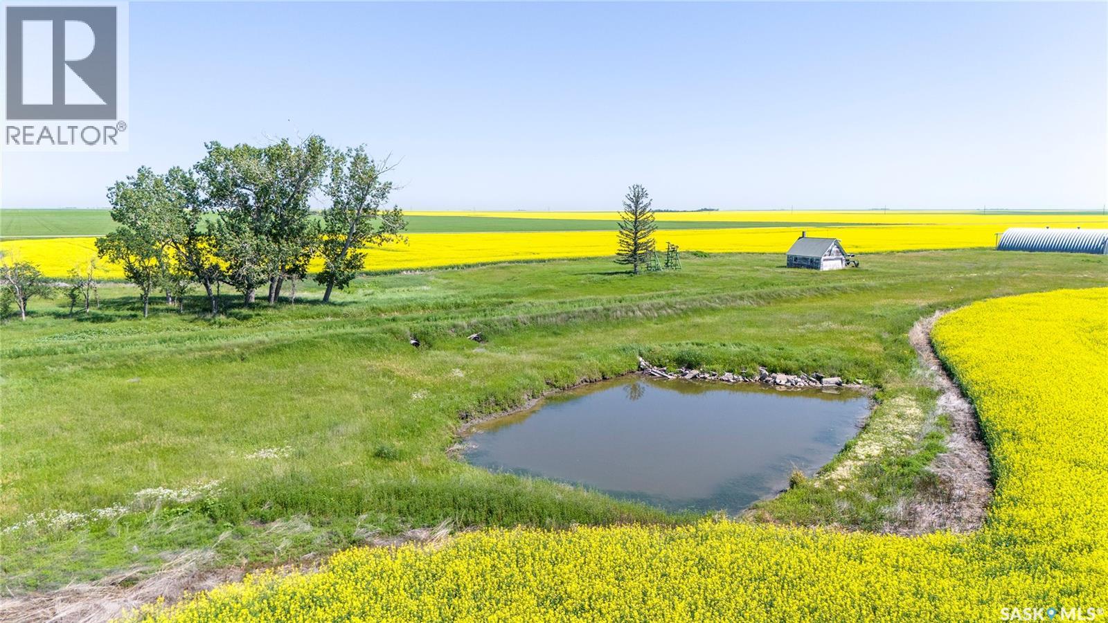8 Quarters Premium Grainland Near Lewvan (Reimer) — photo 15