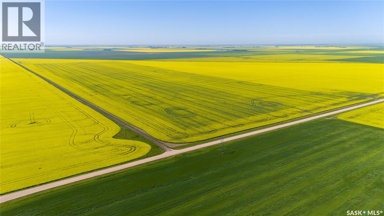 8 Quarters Premium Grainland Near Lewvan (Reimer) — photo 9