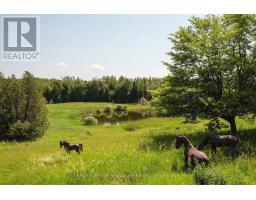 469319 Grey Rd 31 Road, Grey Highlands, ON N0C1M0 Photo 45