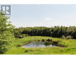 469319 Grey Rd 31 Road, Grey Highlands, ON N0C1M0 Photo 46