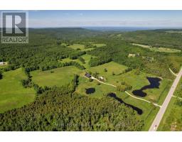469319 Grey Rd 31 Road, Grey Highlands, ON N0C1M0 Photo 48