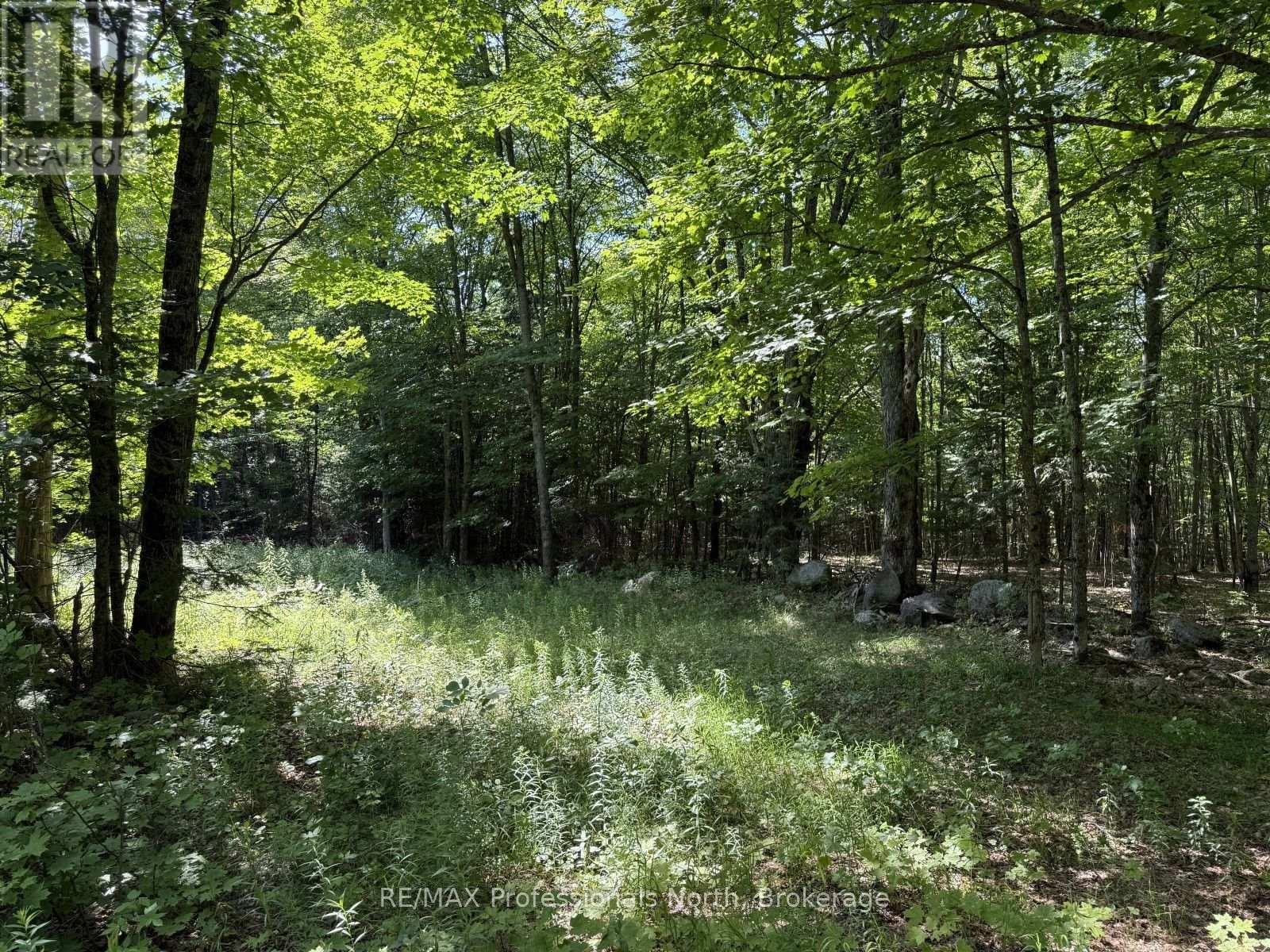 1170 BUSHWOLF LAKE ROAD - 23