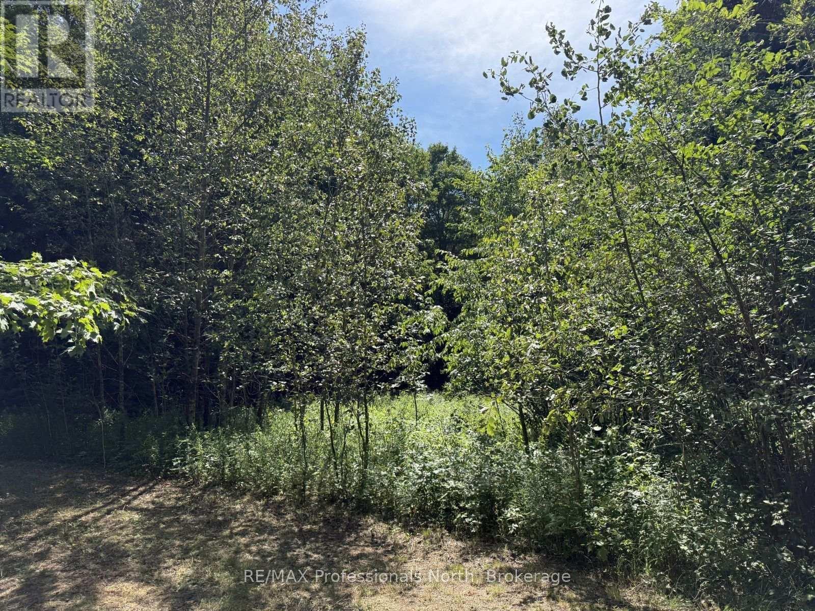 1170 BUSHWOLF LAKE ROAD - 22