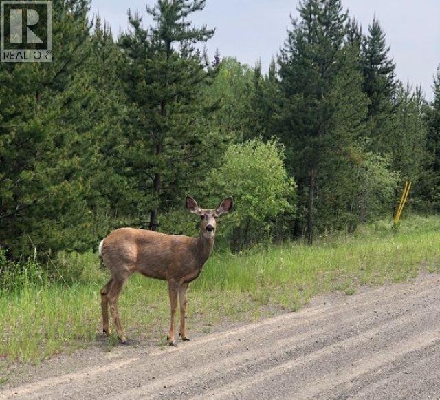 LOT 2 5916 LITTLE FORT 24 HIGHWAY, Lone Butte