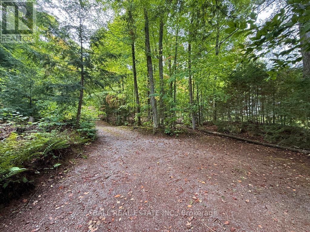 551 RENWICK ROAD - 14