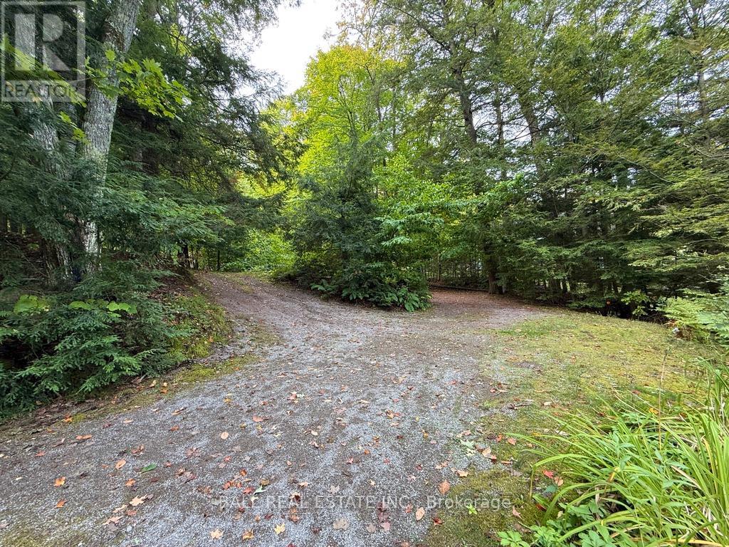551 RENWICK ROAD - 43