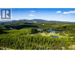 Lot #1 Paradise Road, Joe Rich, BC V1P1K4 Photo 9