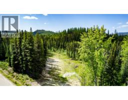 Lot #3 Paradise Road, Joe Rich, BC V1P1K4 Photo 30