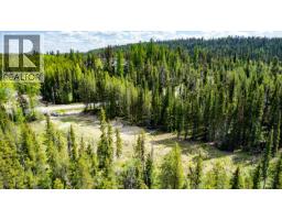 Lot #2 Paradise Road, Joe Rich, BC V1P1K4 Photo 28