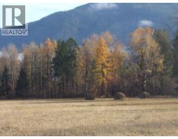 6465 27 Street, Grand Forks, BC V0H1H0 Photo 18