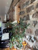 577 Stephen Street, Morden, MB R6M1R7 Photo 46