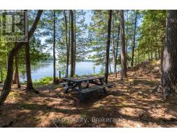 85 South Shore, Lake Panache, Sudbury Remote Area, ON P0M3E0 Photo 8