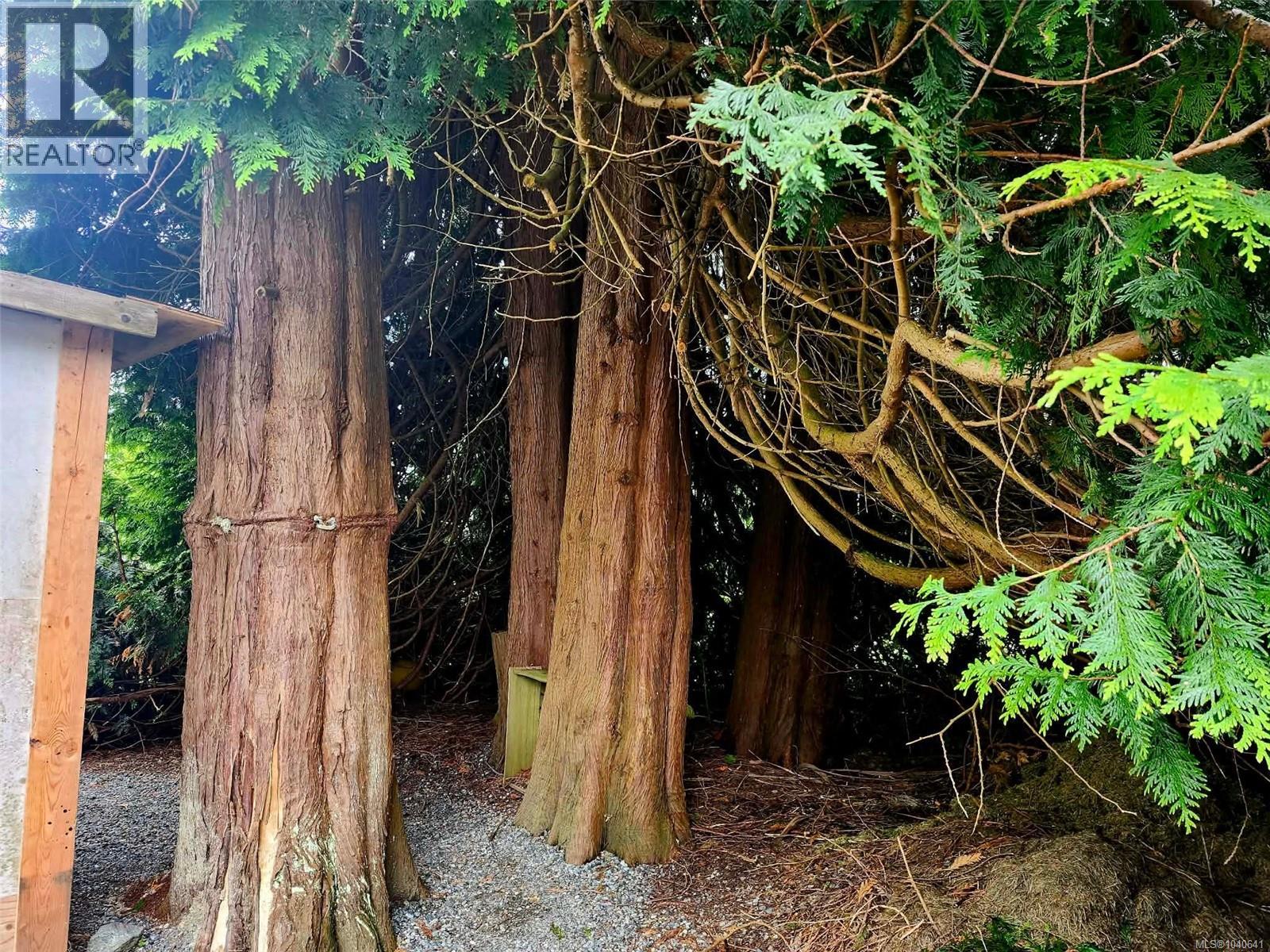 1550 Larch Rd, Ucluelet