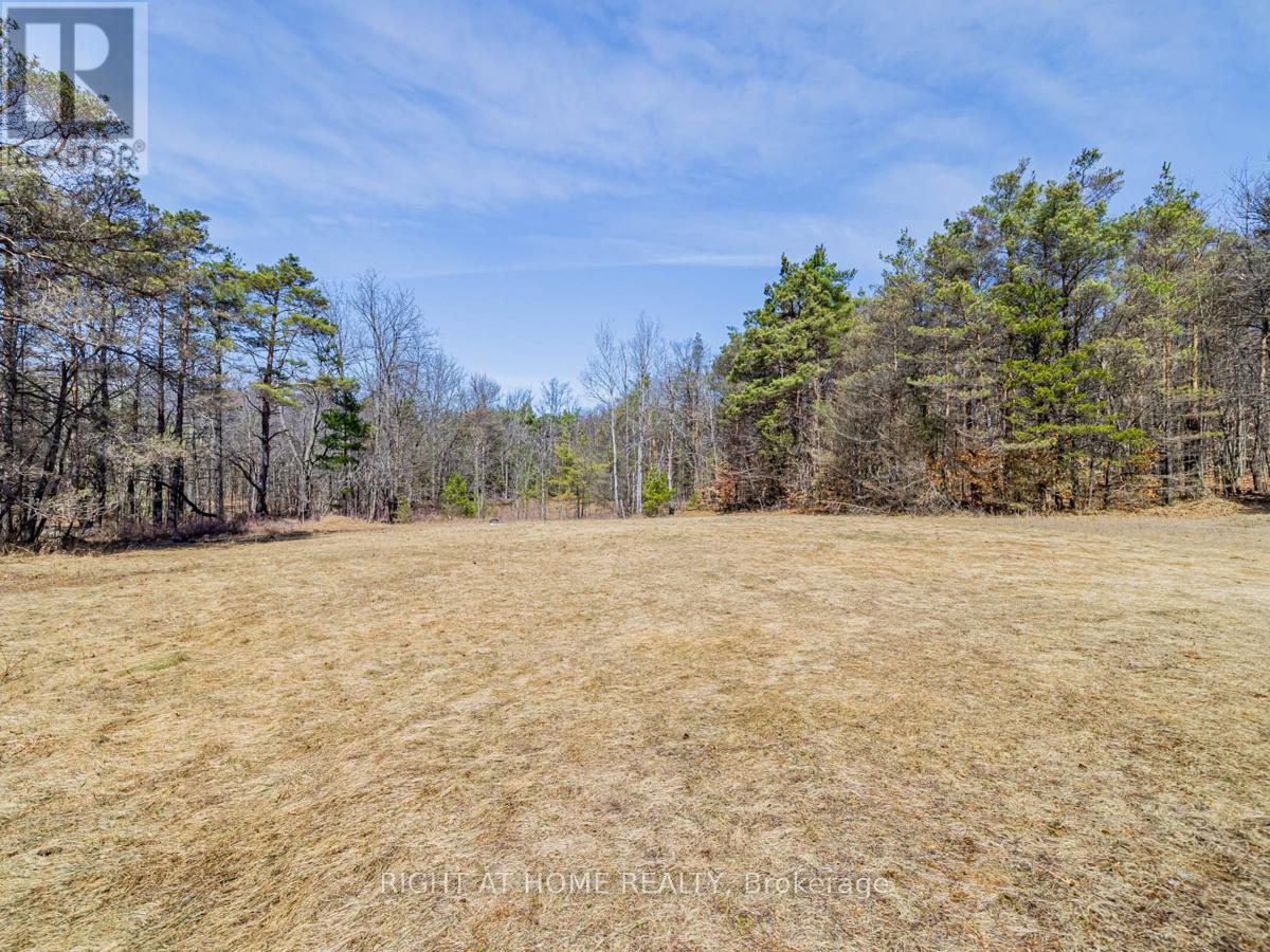 4282 VIVIAN ROAD - 34