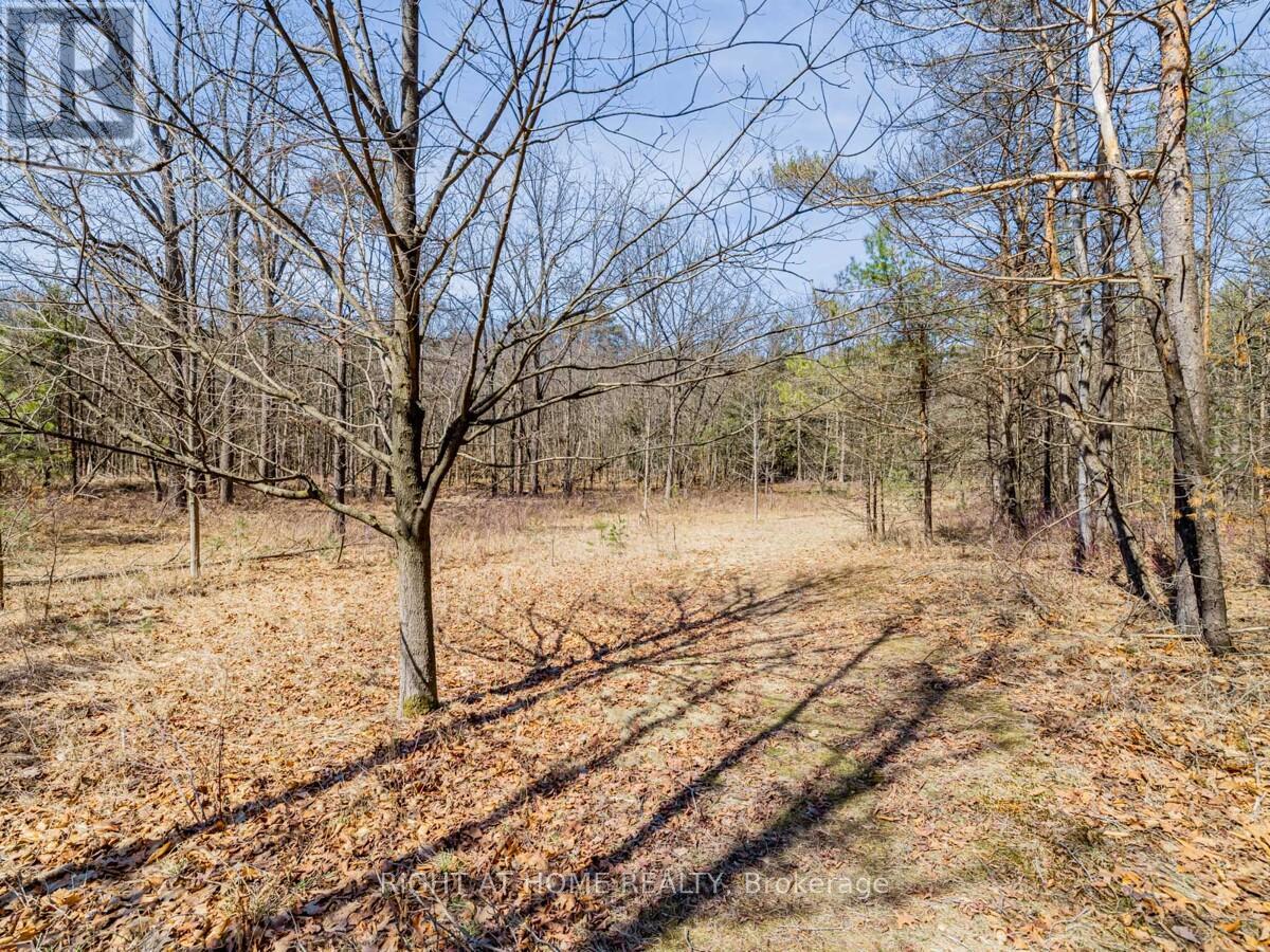4282 VIVIAN ROAD - 35
