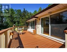 35 Crowe Bay Heights, Trent Hills, ON K0L1L0 Photo 36