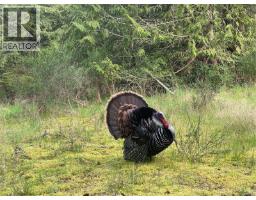 Lot 14 Ross Way, Gabriola Island, BC V0R1X0 Photo 9