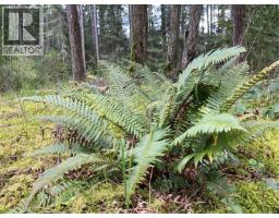 Lot 14 Ross Way, Gabriola Island, BC V0R1X0 Photo 7