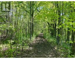 2269 Concession 4, Uxbridge, ON L0C1A0 Photo 22