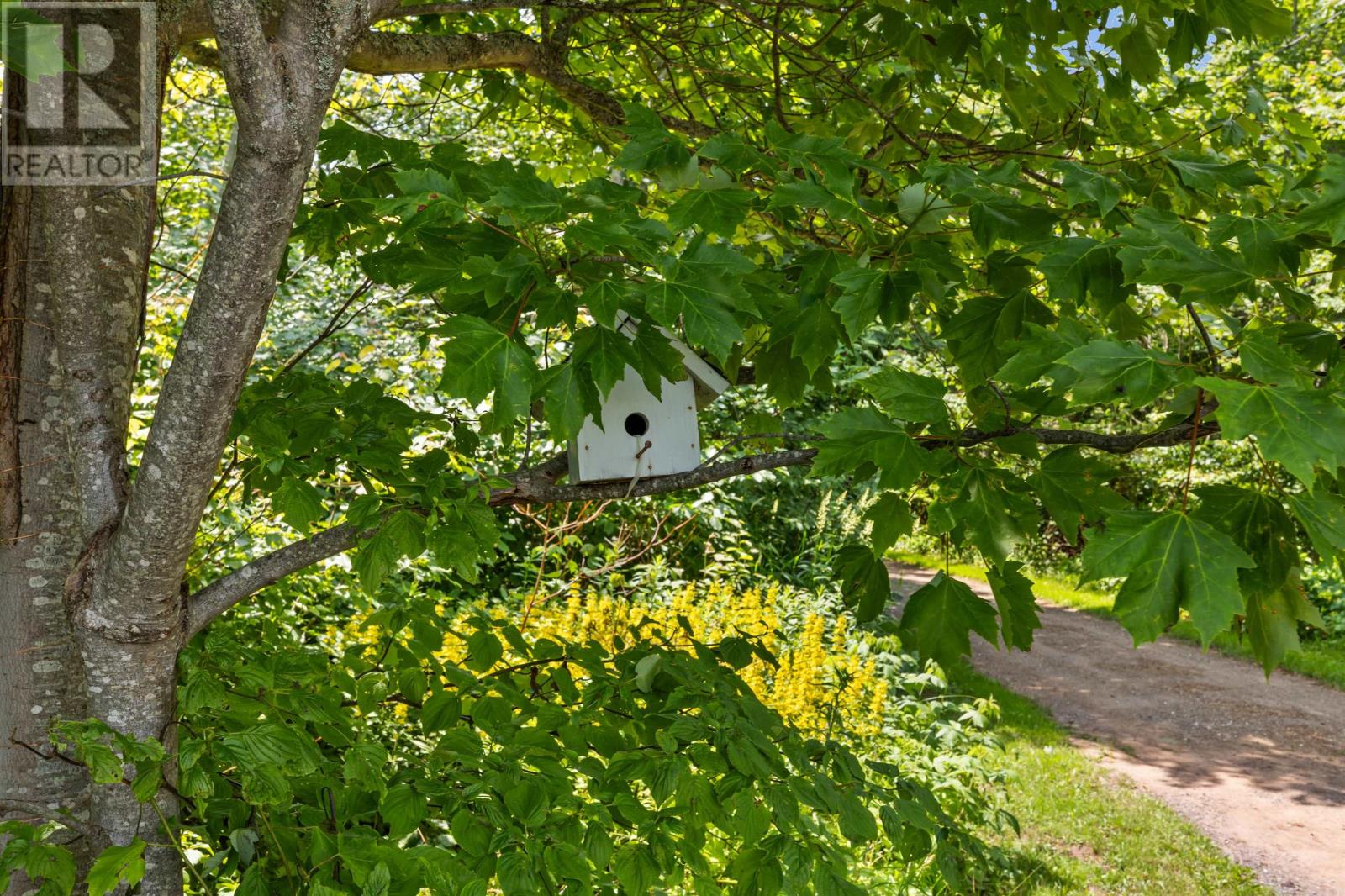 455 Drummond Road - Image 43