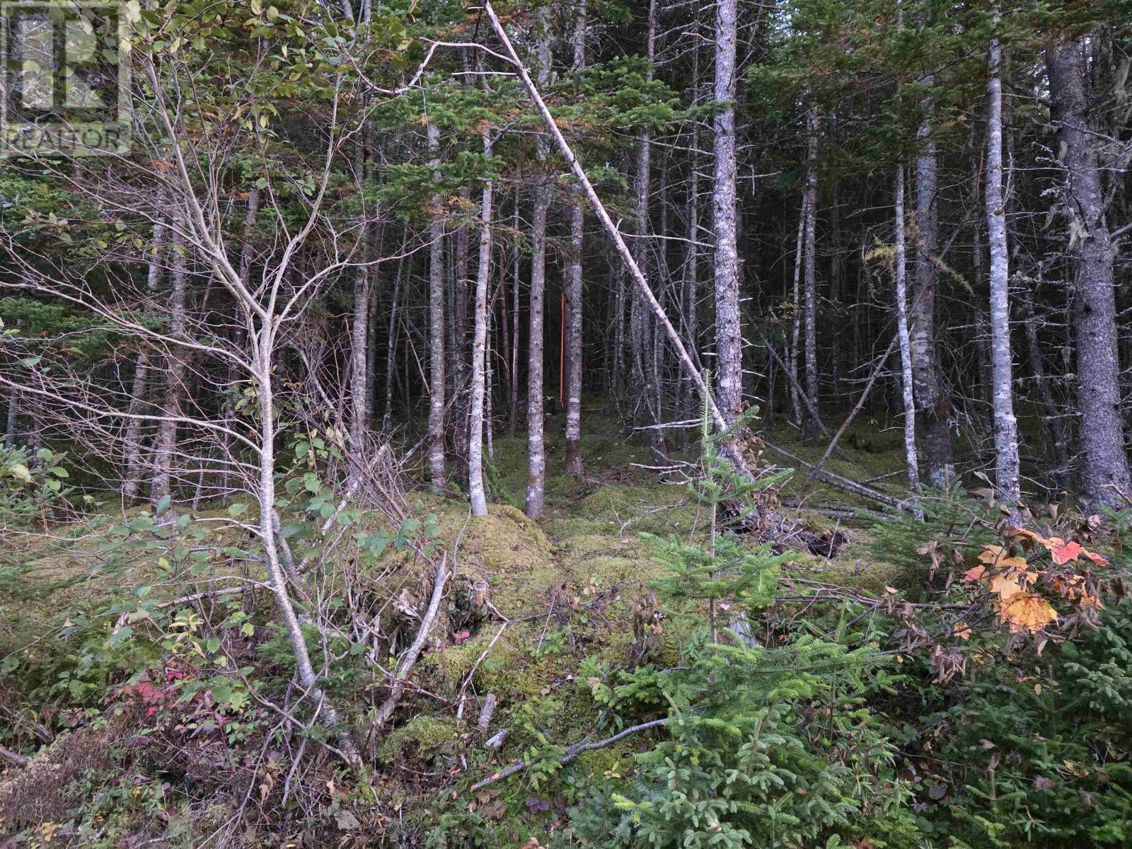 Land 104 Highway, River Bourgeois — photo 3