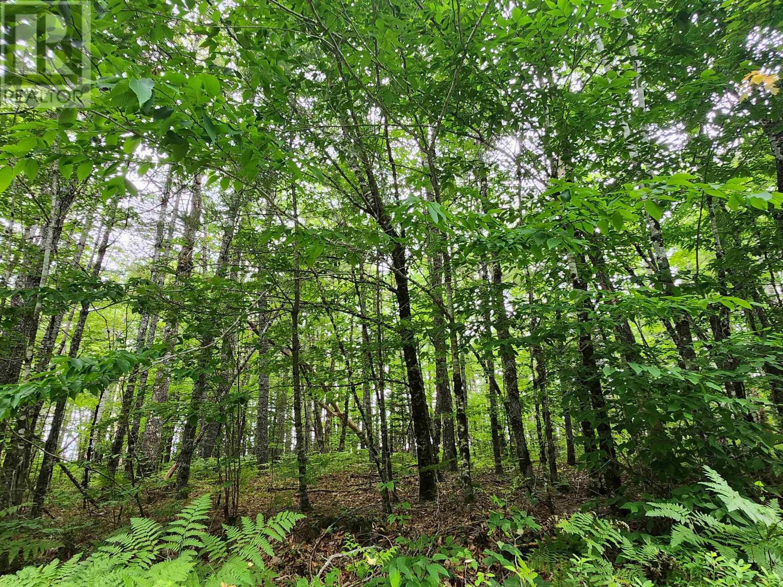 Property 3 of 10 of Lot 73 Baker Point Road