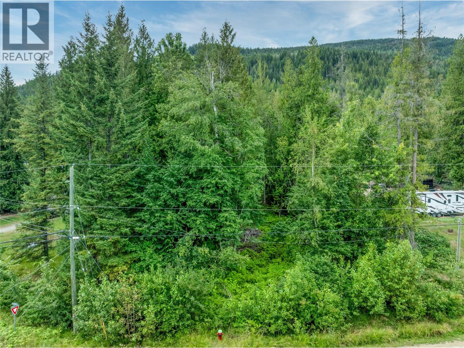 Mountain Drive Lot# 40, Anglemont — photo 3