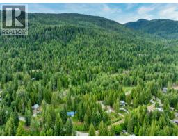 Mountain Drive Lot# 40, Anglemont, BC V0E1M8 Photo 16