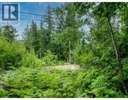 Mountain Drive Lot# 40, Anglemont, BC V0E1M8 Photo 11