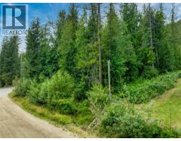 Mountain Drive Lot# 40, Anglemont, BC V0E1M8 Photo 12