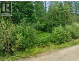 Mountain Drive Lot# 40, Anglemont, BC V0E1M8 Photo 13