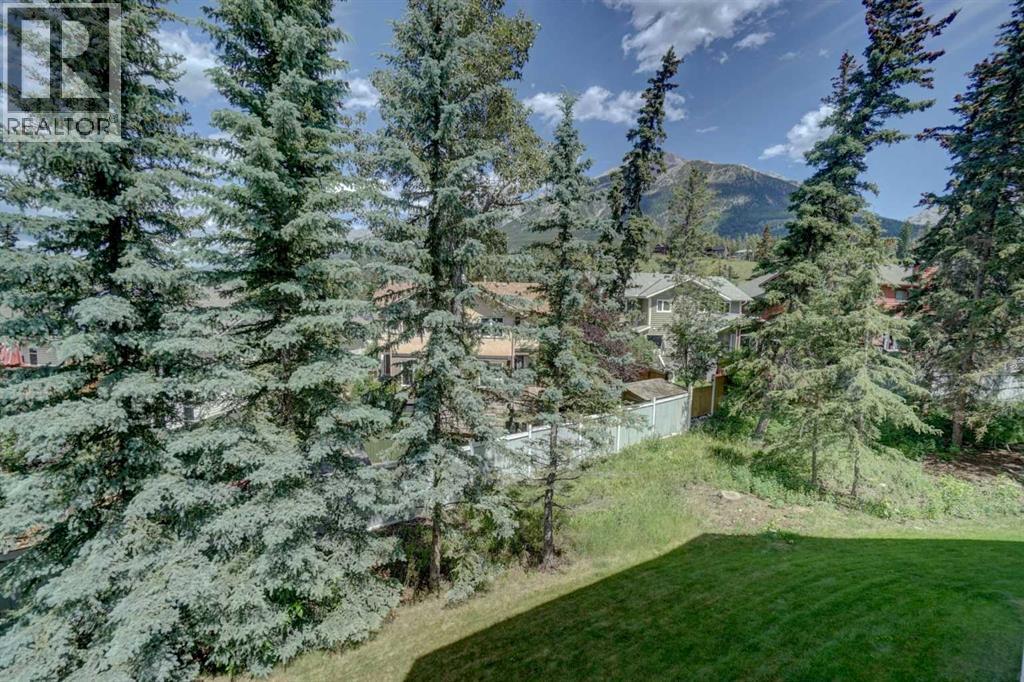#209 1080C Cougar Creek Drive - 36