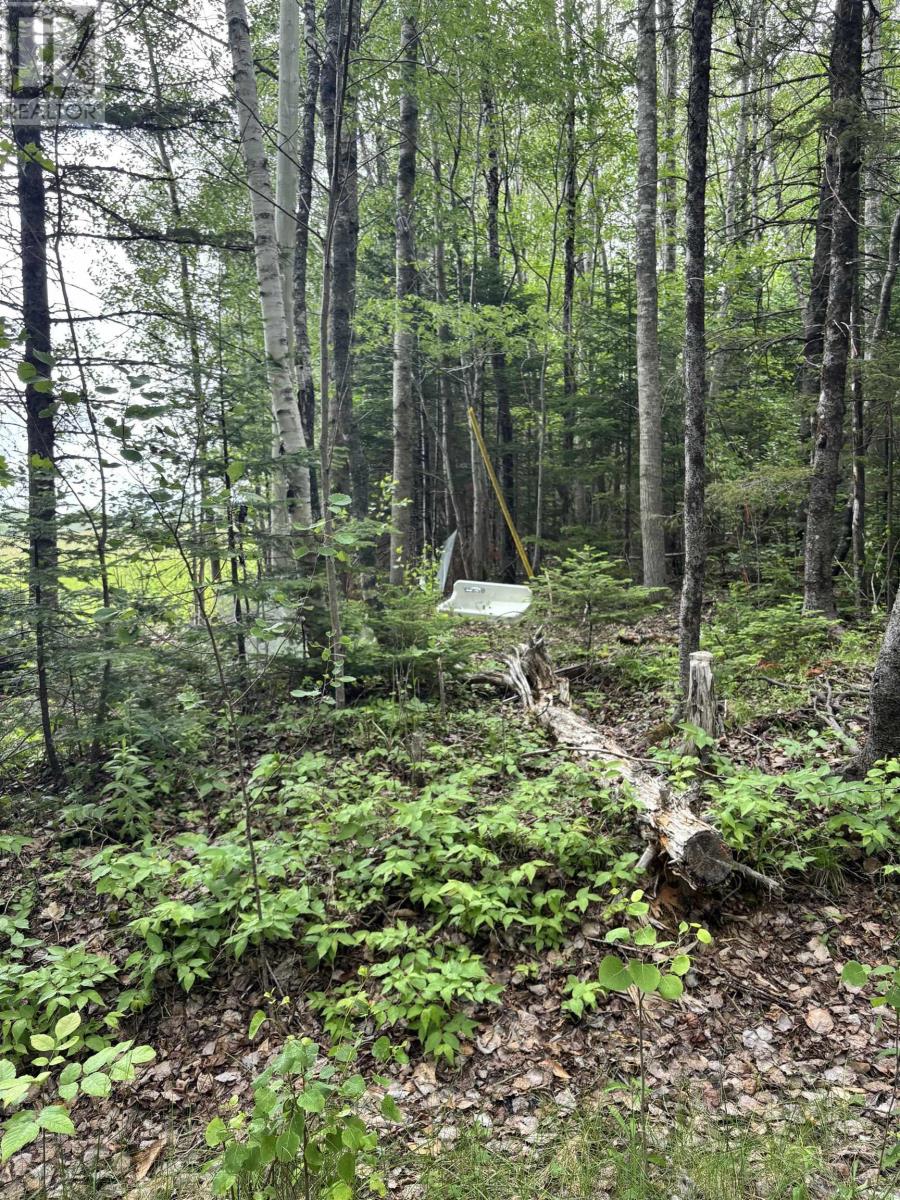 320 Charles Hill Road - 16