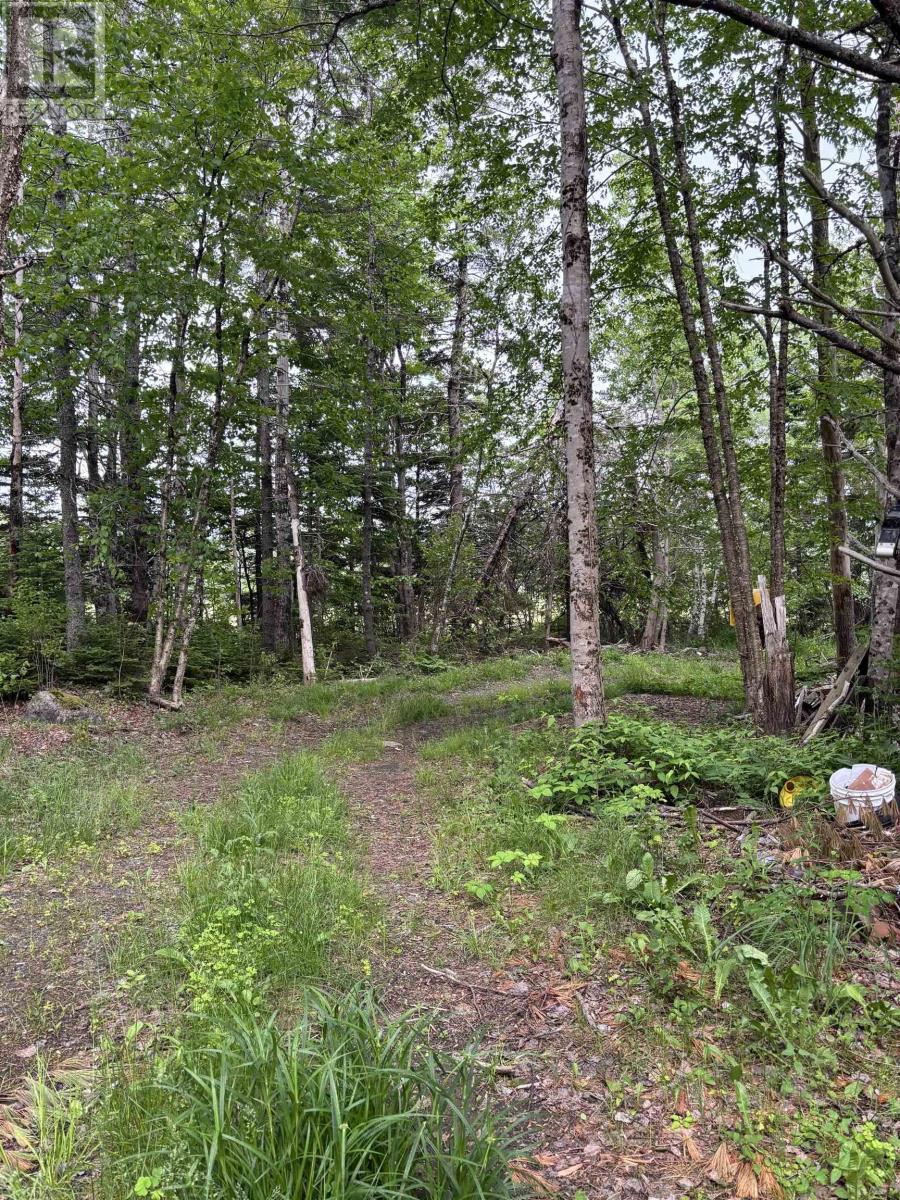 320 Charles Hill Road - 22