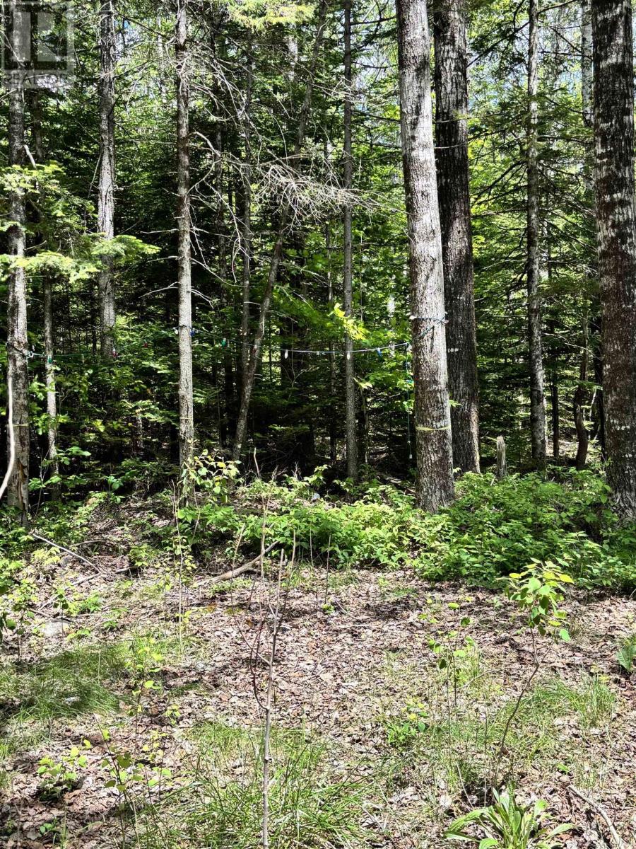 320 Charles Hill Road - 18