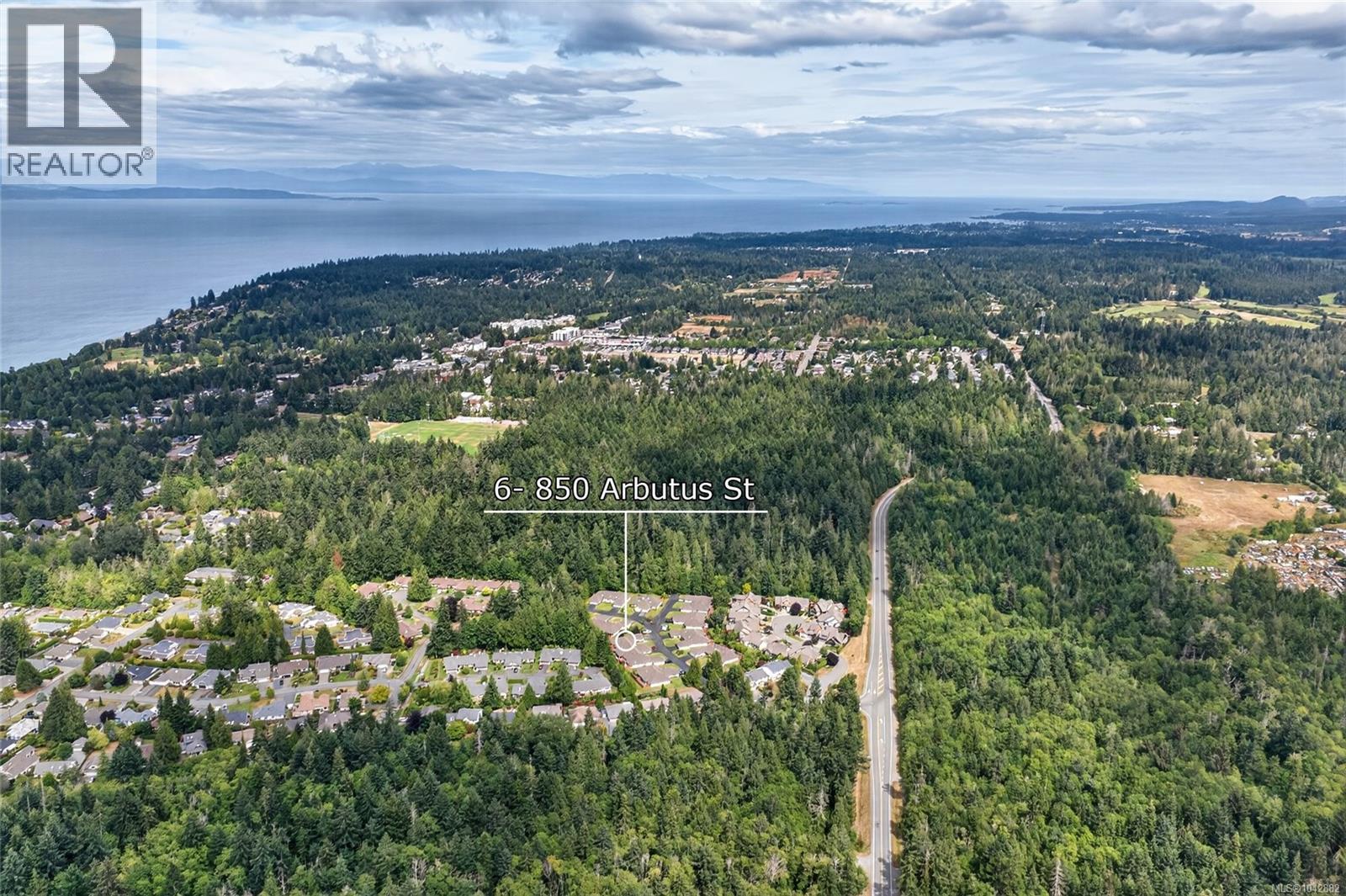 #6 850 Arbutus St - 10