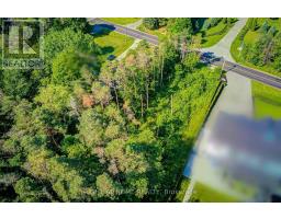 16895 Mccowan Road, Whitchurch Stouffville, ON L0G1E0 Photo 13