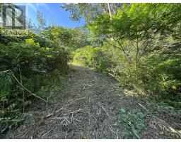 00 County Road 2 Road, Edwardsburgh/cardinal, ON K0E1E0 Photo 6