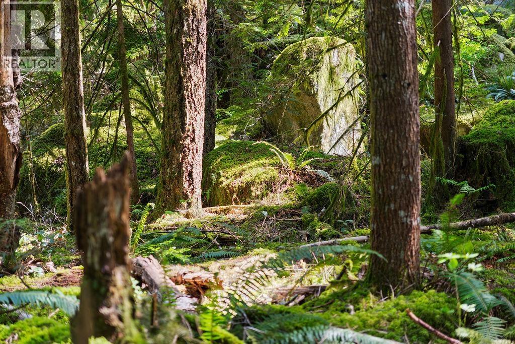 2050 MIDNIGHT WAY, Squamish