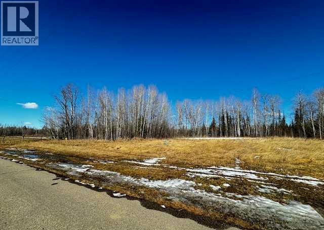 2431 Mistassiniy Road, Wabasca — photo 2