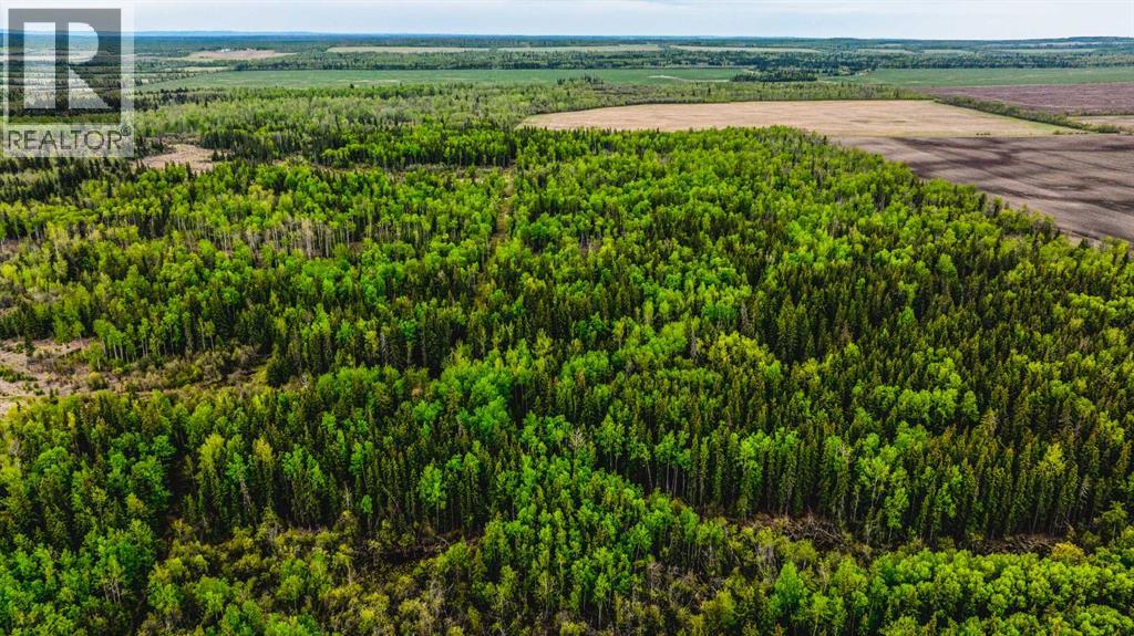SE 81106 TWP RD 812 - Photo 20